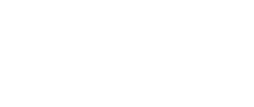 Logo DVMéxico
