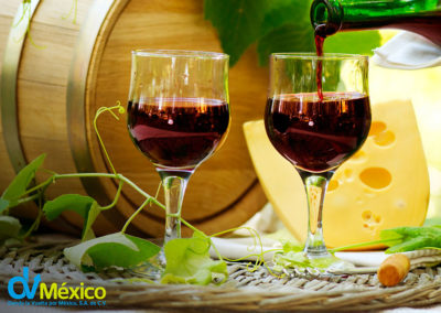 dvmexico-vino-y-queso-03